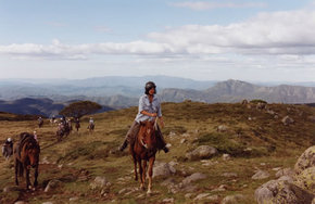 High Country Horses - Accommodation Australia